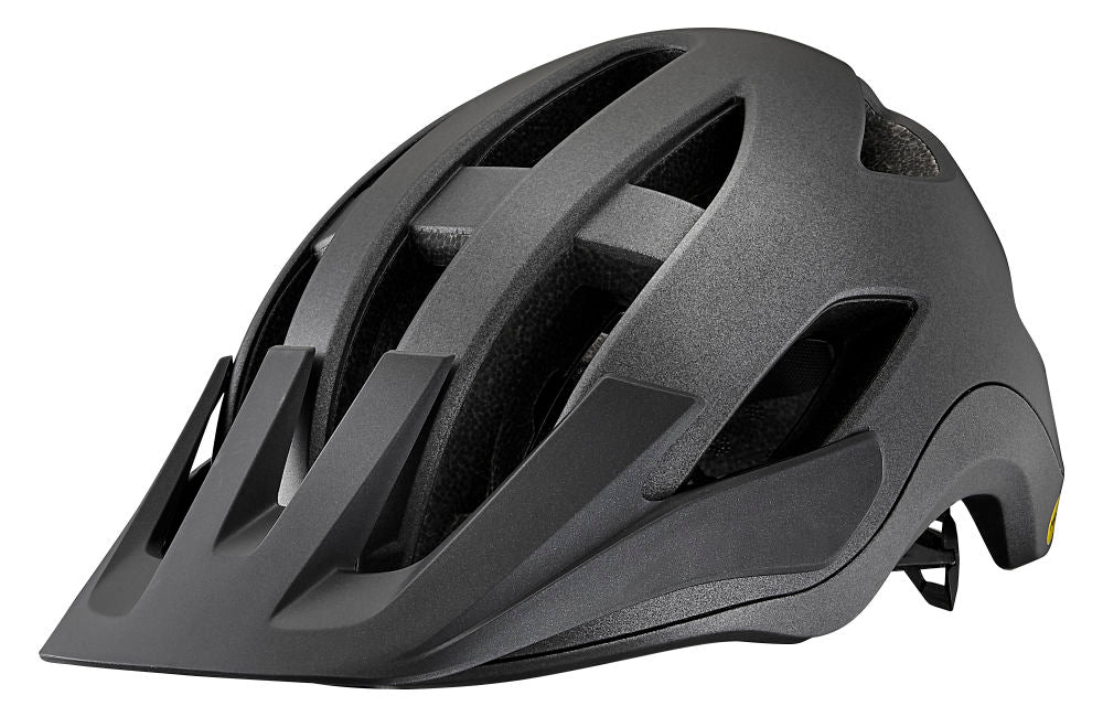 Giant Roost Helmet