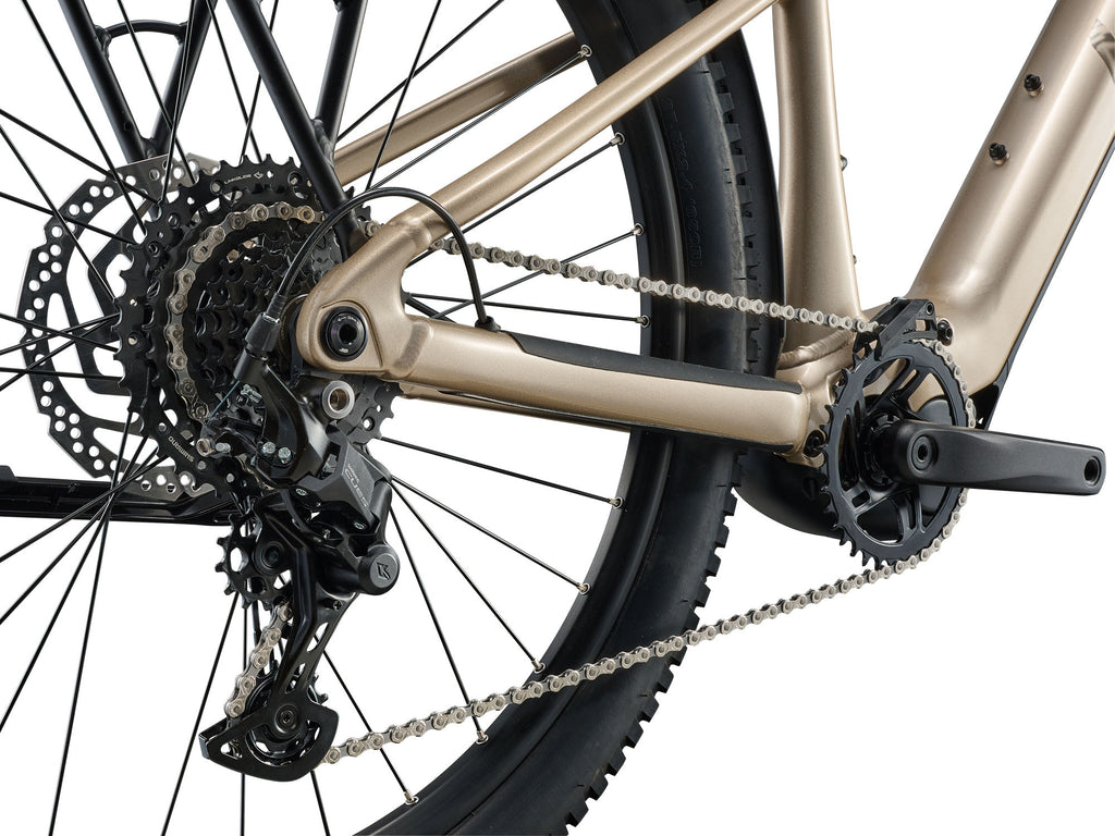 Liv Tempt E+ EX 2026