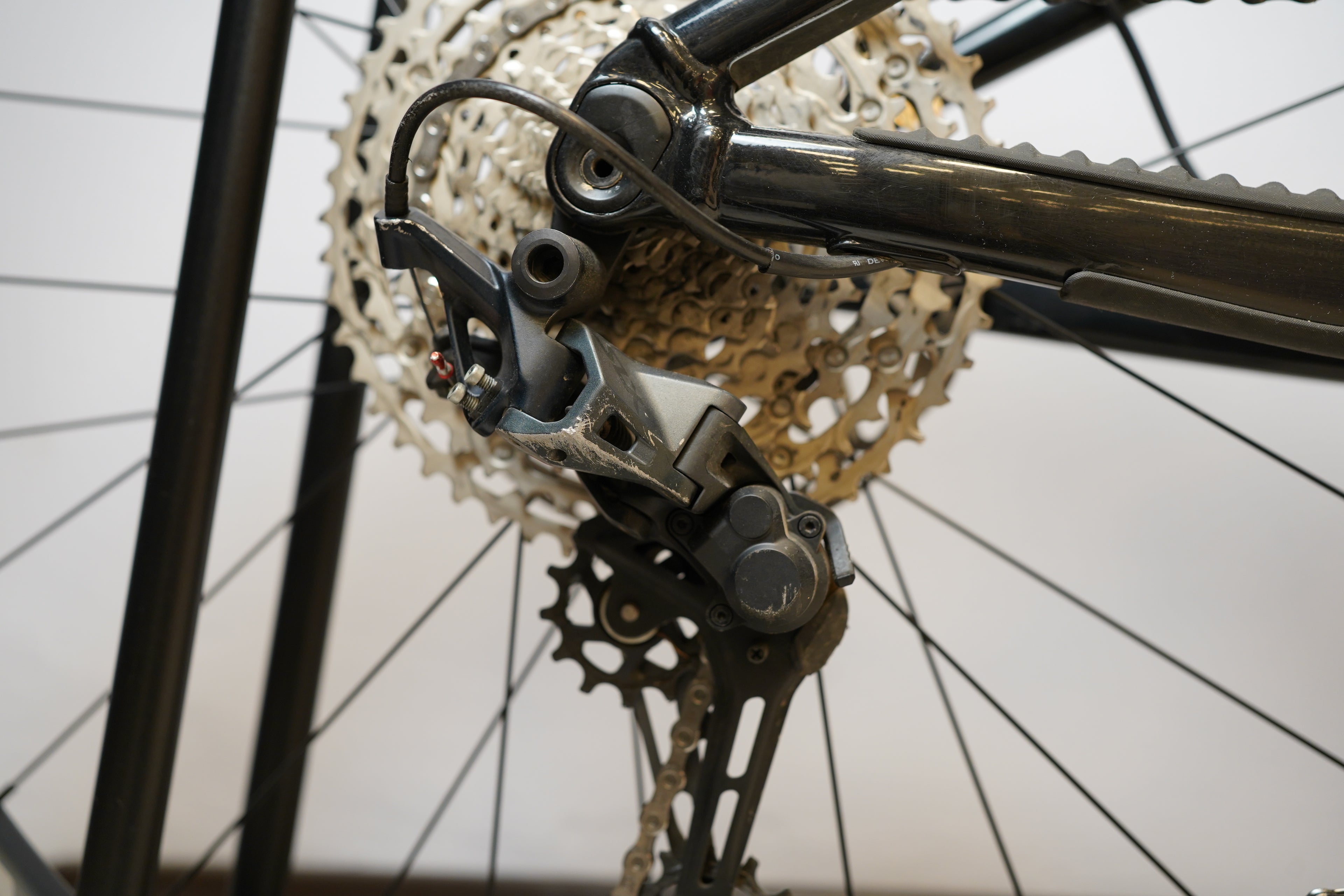 Giant Reign 29 2 2021