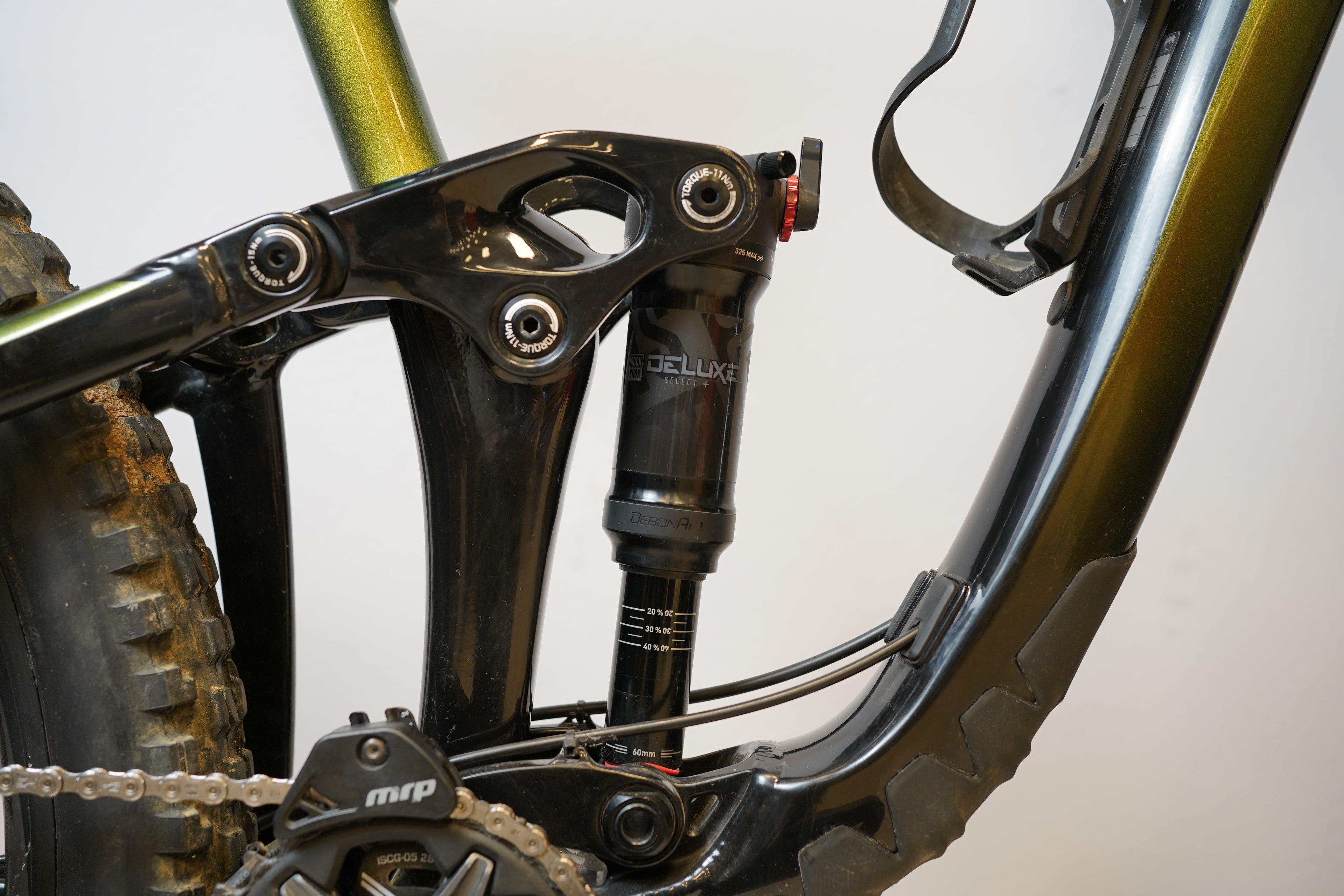 Giant Reign 29 2 2021