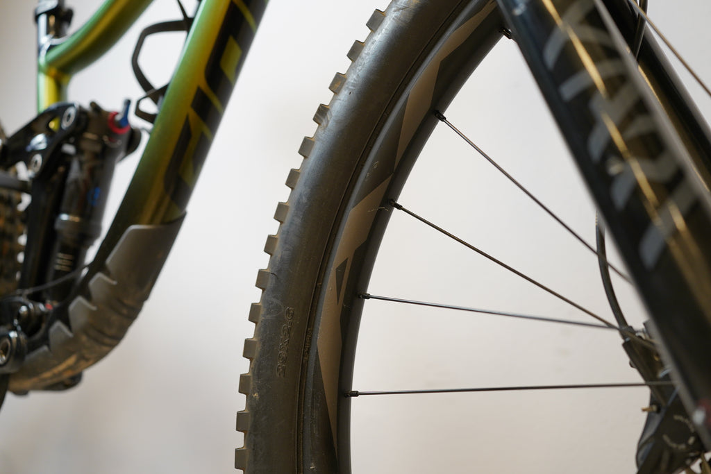 Giant Reign 29 2 2021