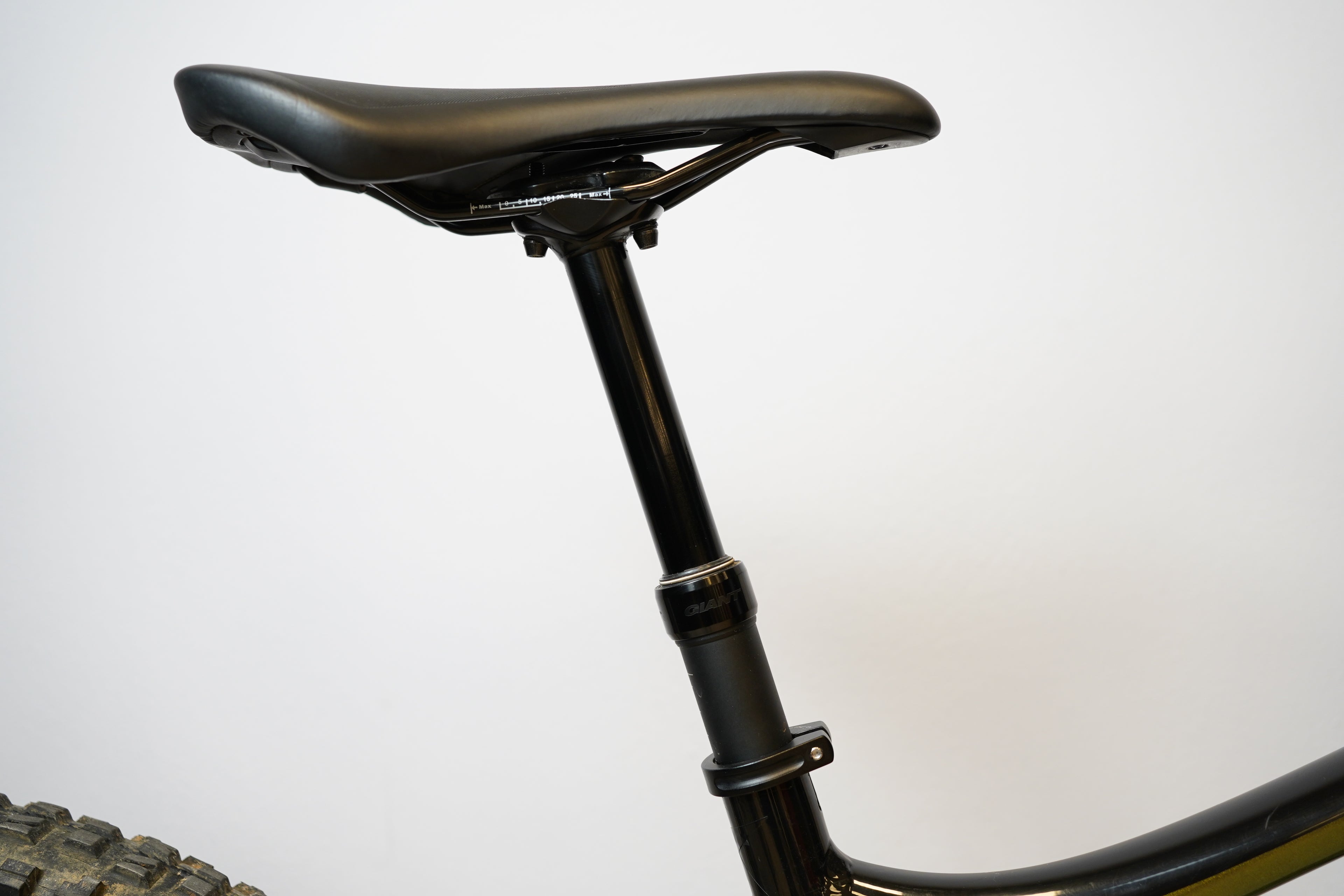 Giant Reign 29 2 2021