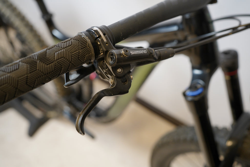 Giant Reign 29 2 2021