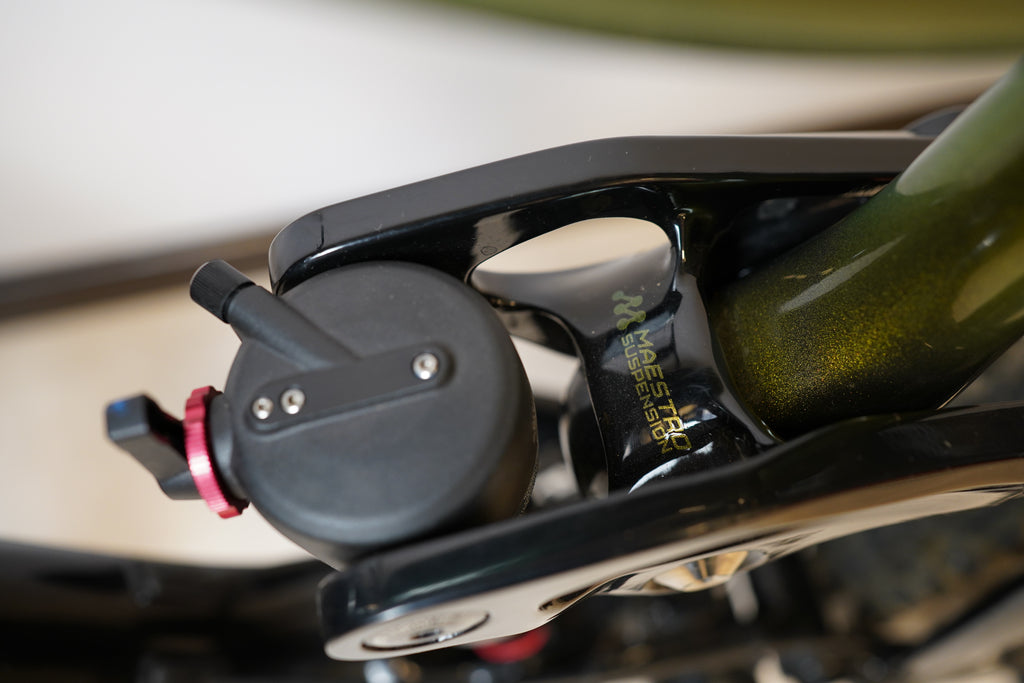 Giant Reign 29 2 2021