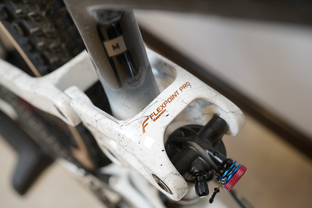 Giant Anthem Advanced 29 Custom 2024