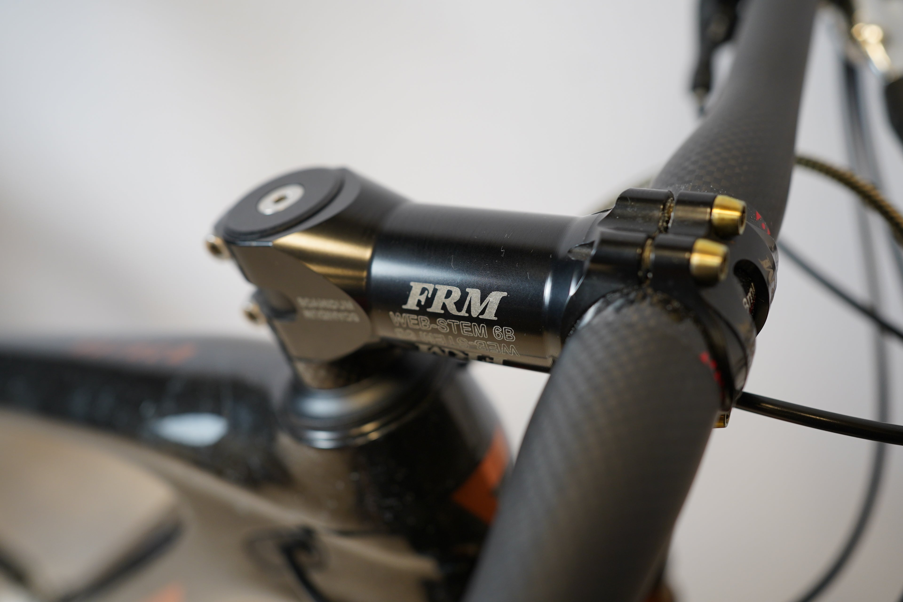 Giant Anthem Advanced 29 Custom 2024