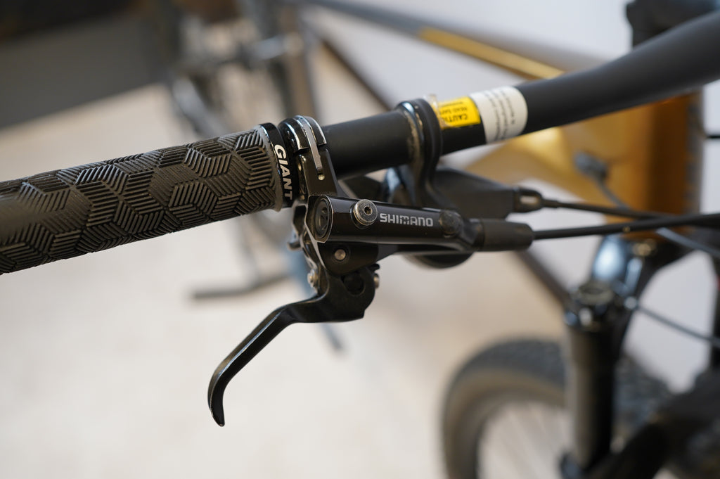 XTC Advanced 29 2 2020