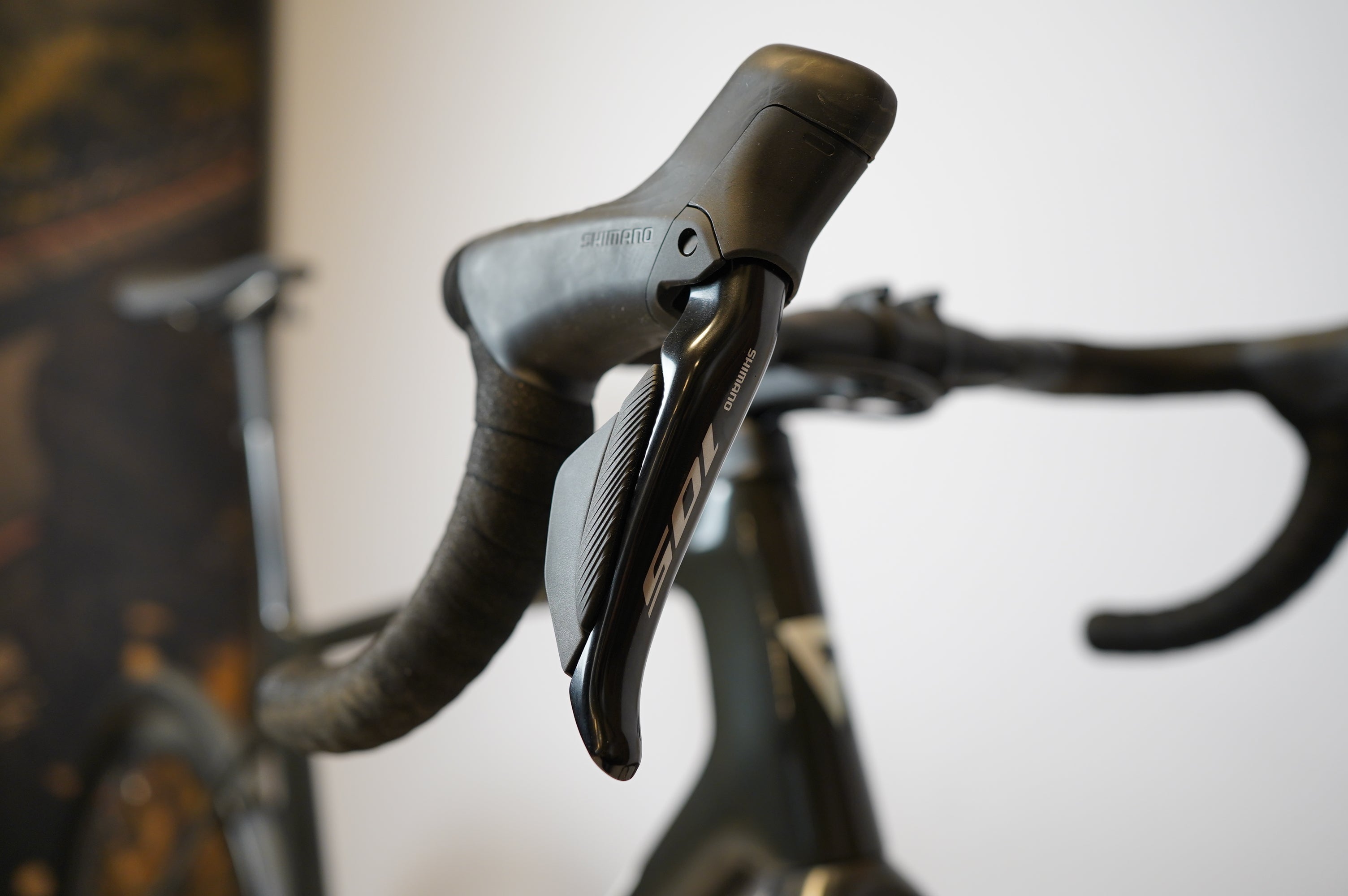 TCR Advanced SL 2024 custom