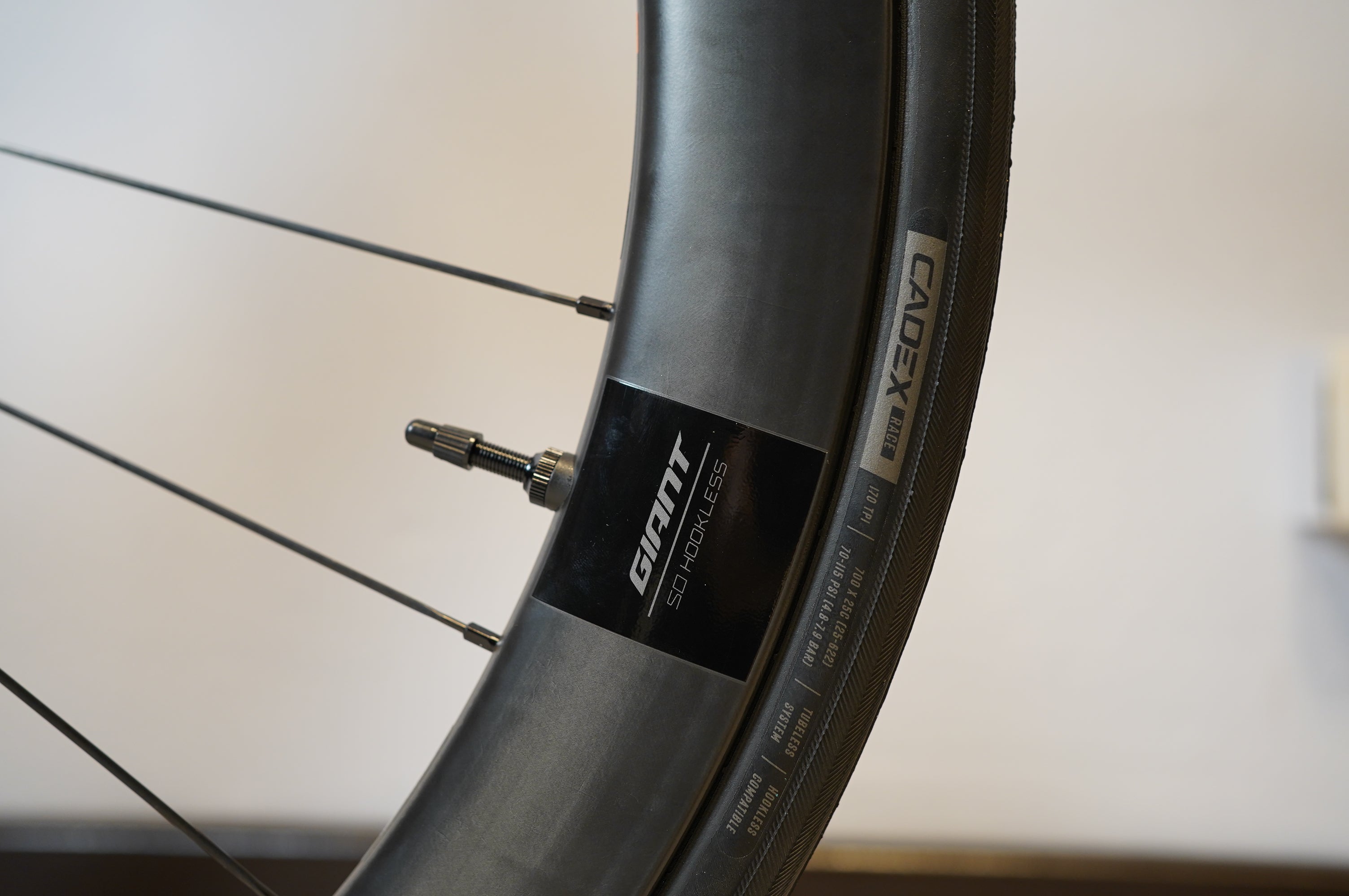 TCR Advanced SL 2024 custom