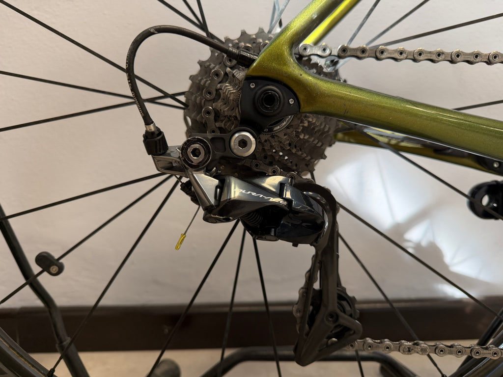 TCR Advanced SL custom 2019