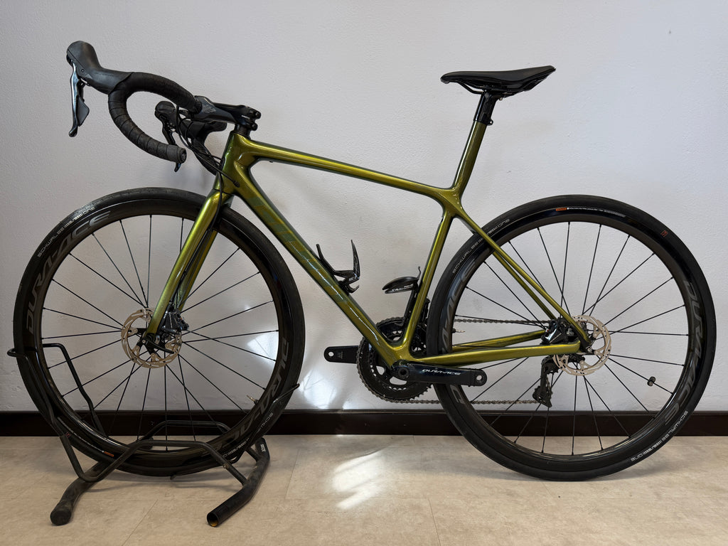 TCR Advanced SL custom 2019