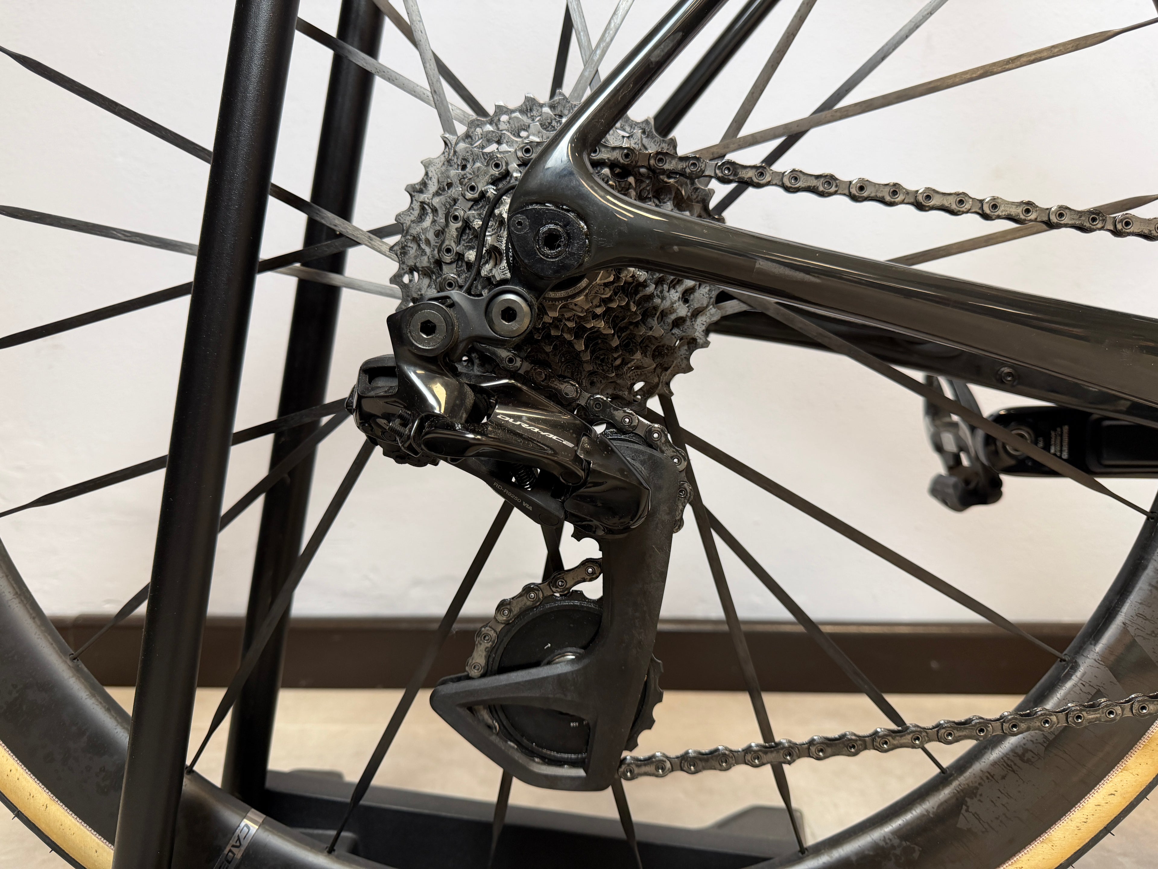 TCR Advanced SL 0 Custom 2024