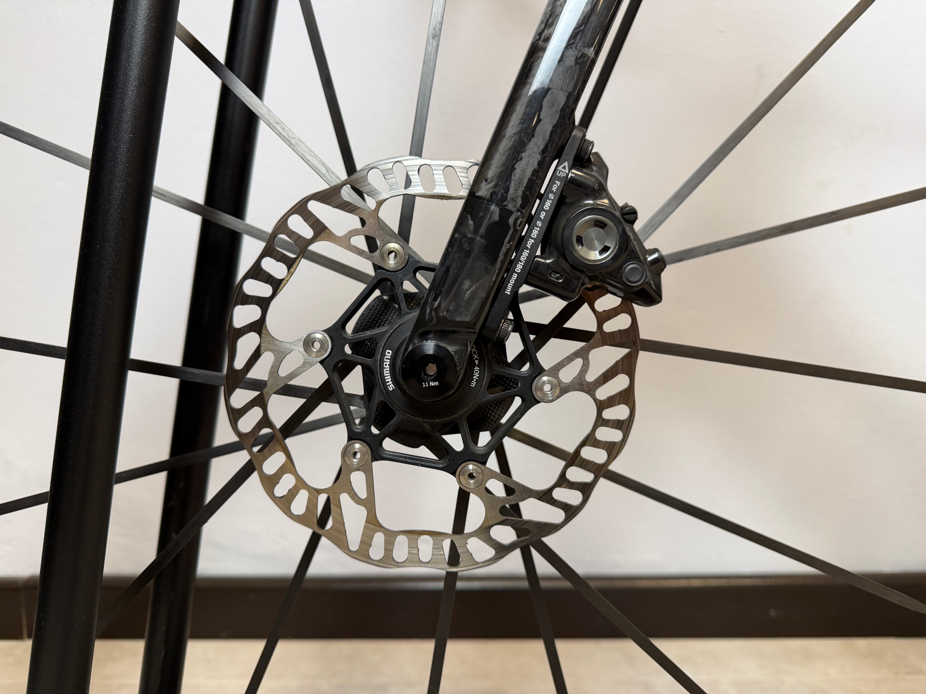 TCR Advanced SL 0 Custom 2024