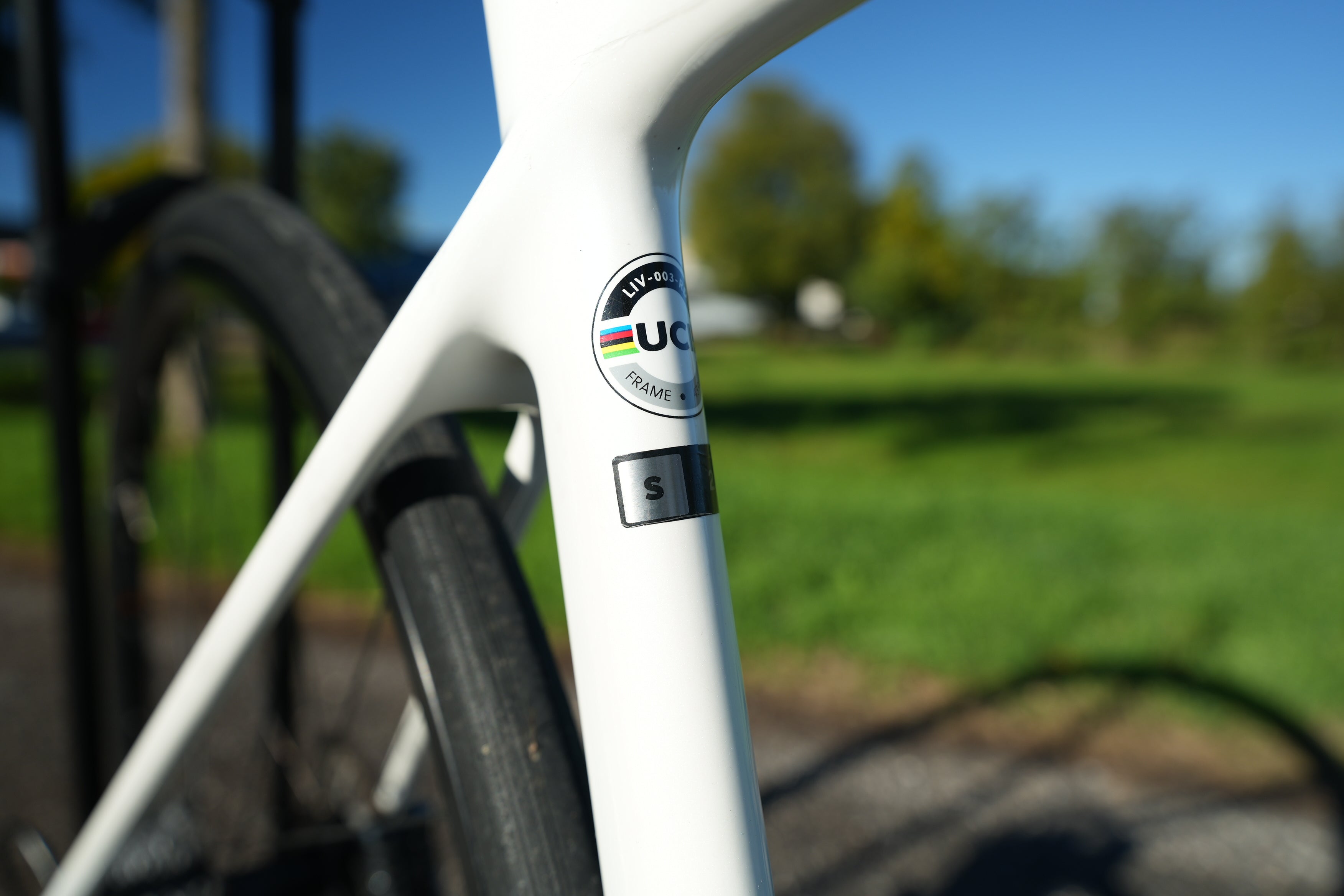 Liv Langma Advanced Disc 2 2022