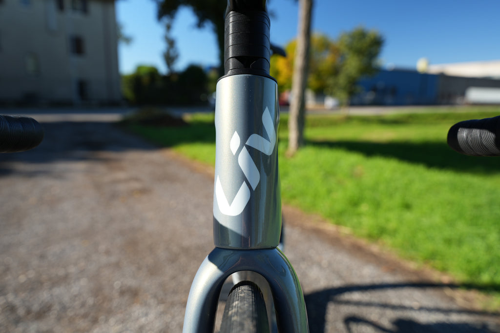 Liv Langma Advanced Pro 1 PC 2025