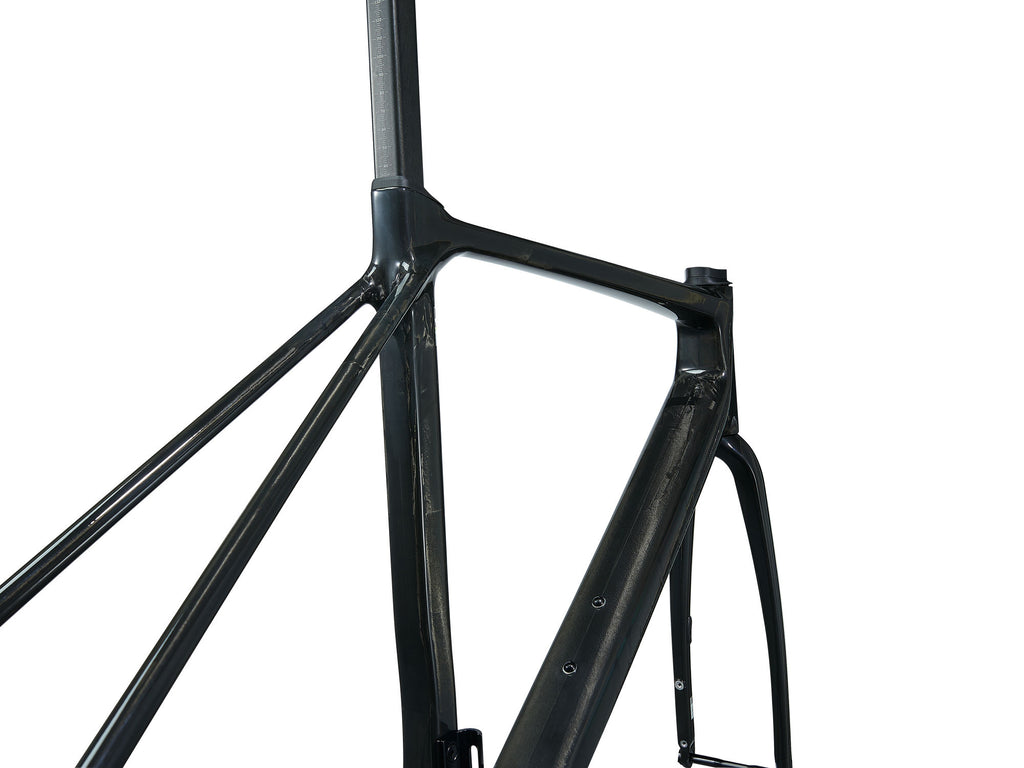 Giant TCR Advanced Pro Frameset 2025