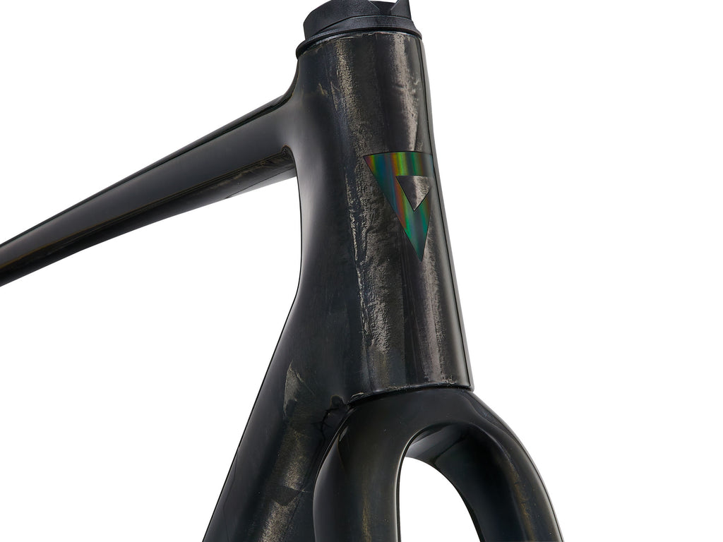 Giant TCR Advanced Pro Frameset 2025