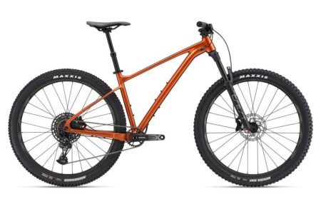 Giant Fathom 29 1 2022
