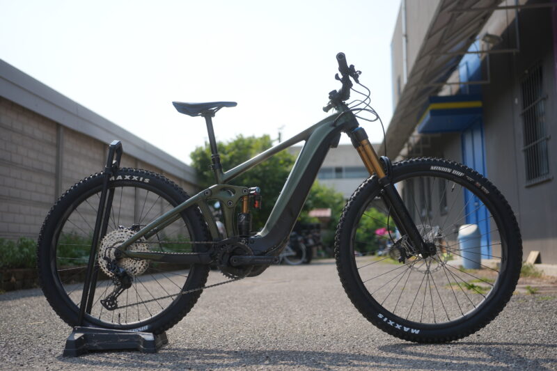 Giant Reign E+ 0 Custom tg.S