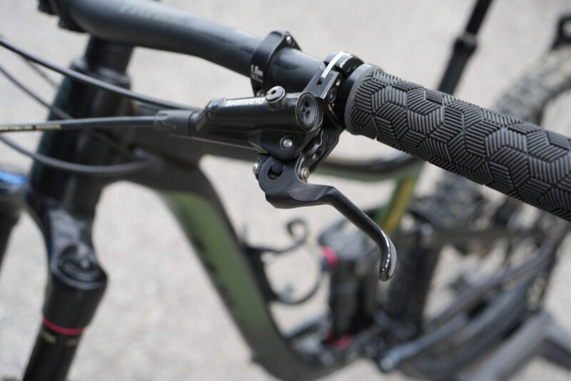 Giant Reign 29 2 2021 tg. S - immagine 3