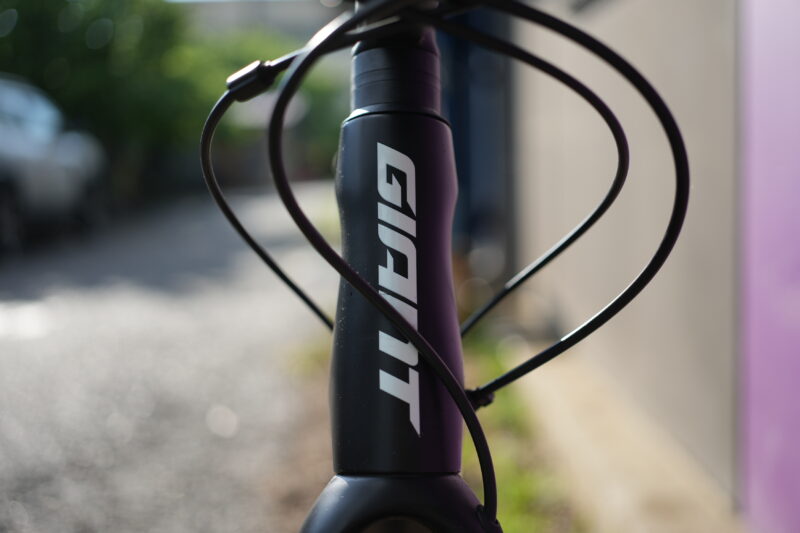TCR Advanced Pro Team Disc 2021 tg. M - immagine 3