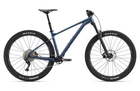 Giant Fathom 29 2 2022